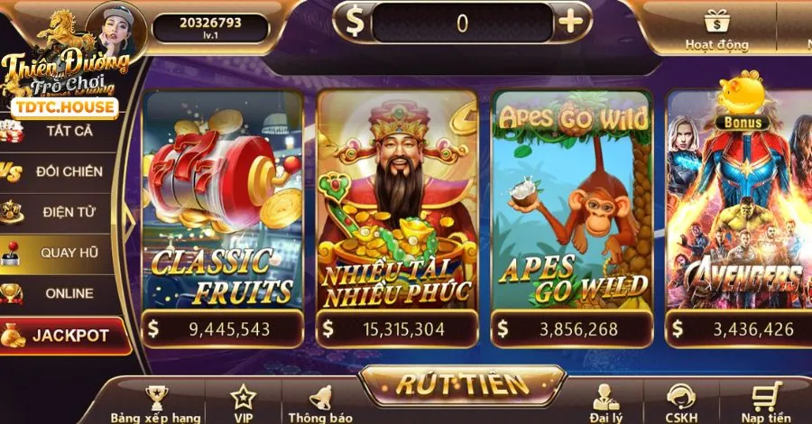 Cá cược quần vợt mt68