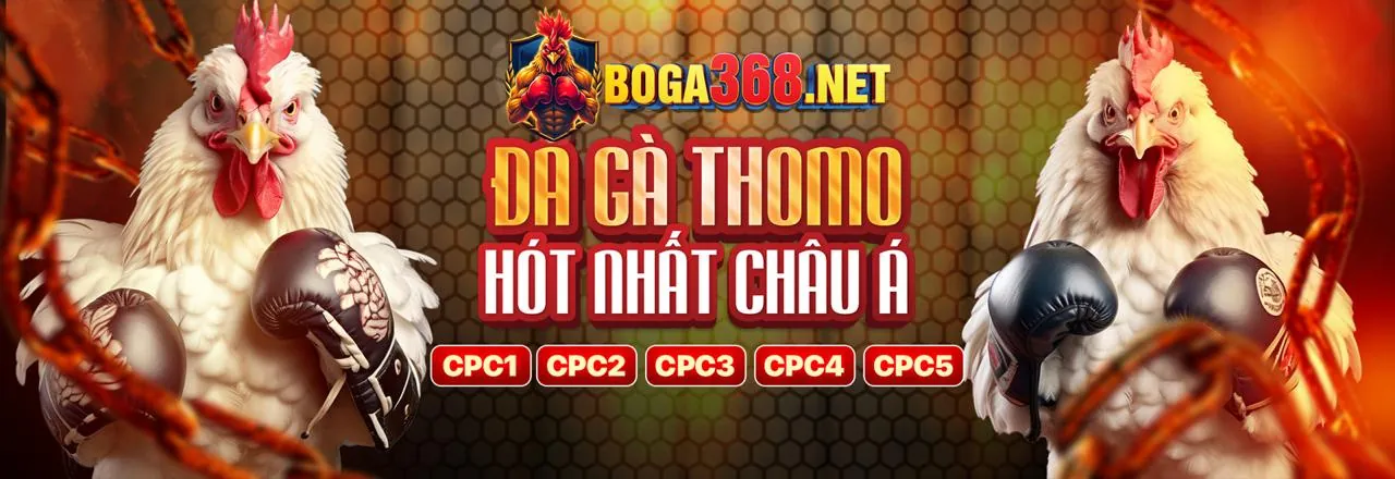 Sân vận động thể thao sôi động của mt68
